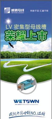 廣告策劃與產(chǎn)品設(shè)計(jì) 從概念到營(yíng)銷(xiāo)的全面指南